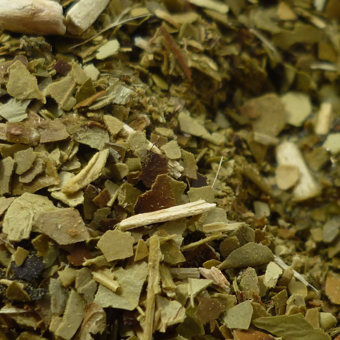 dried green yerba mate tea leaves